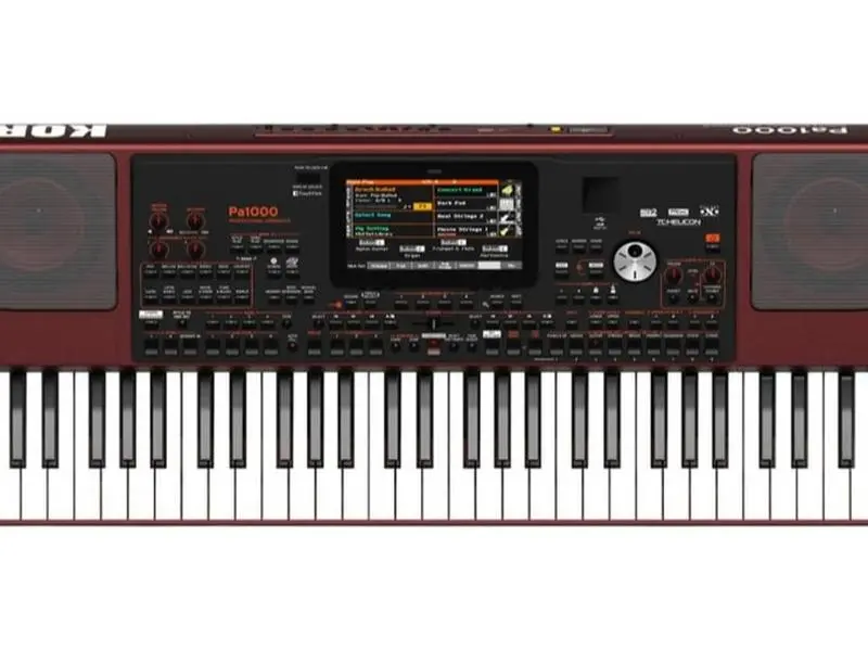 Korg Pa1000 61-Key Professional Arranger