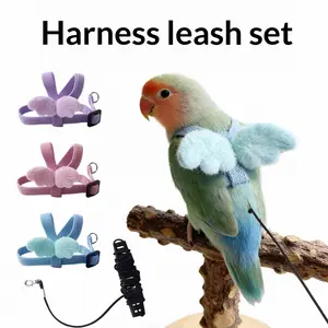 Parrot Walking Harness and Leash Set - Adjustable Bird Harness for Budgies, Cockatiels, Conures - Small Pet Bird Training Kit