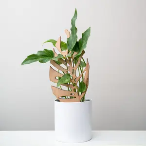 Monstrella - Plant trellis inspired by the Monstera Leaf