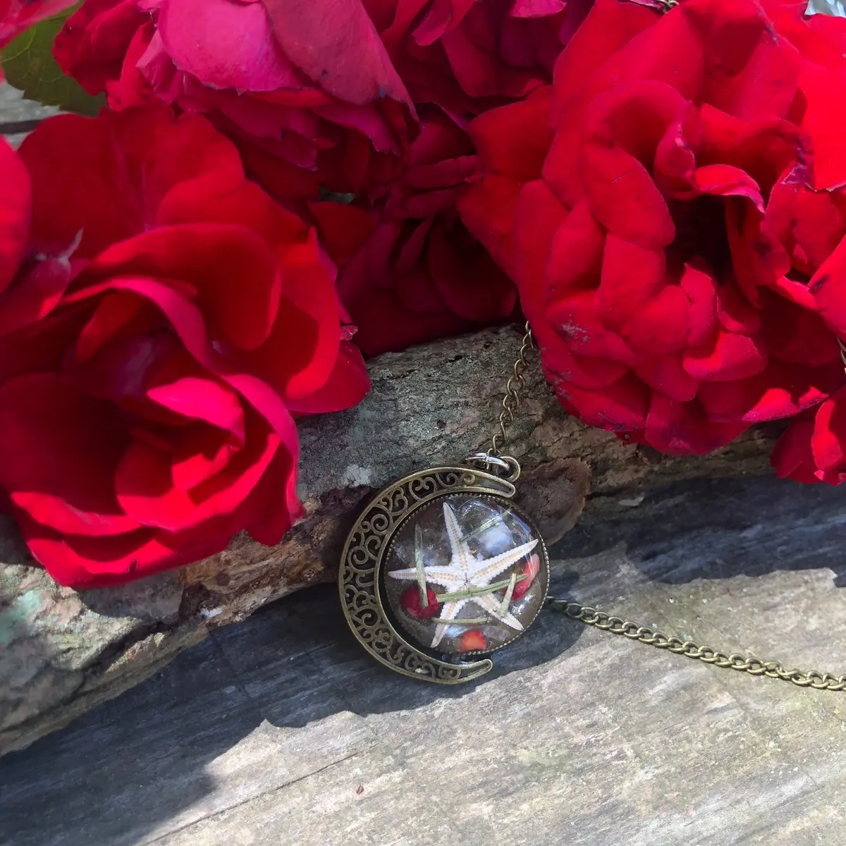 Double Sided Necklace with Mother of Pearl, Red Coral, a Real Starfish and Rosemary - Zen Collection