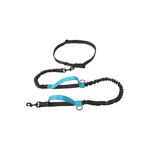 Best Reflective Jogging Leash for Dogs – Hands-Free, Durable & Safe