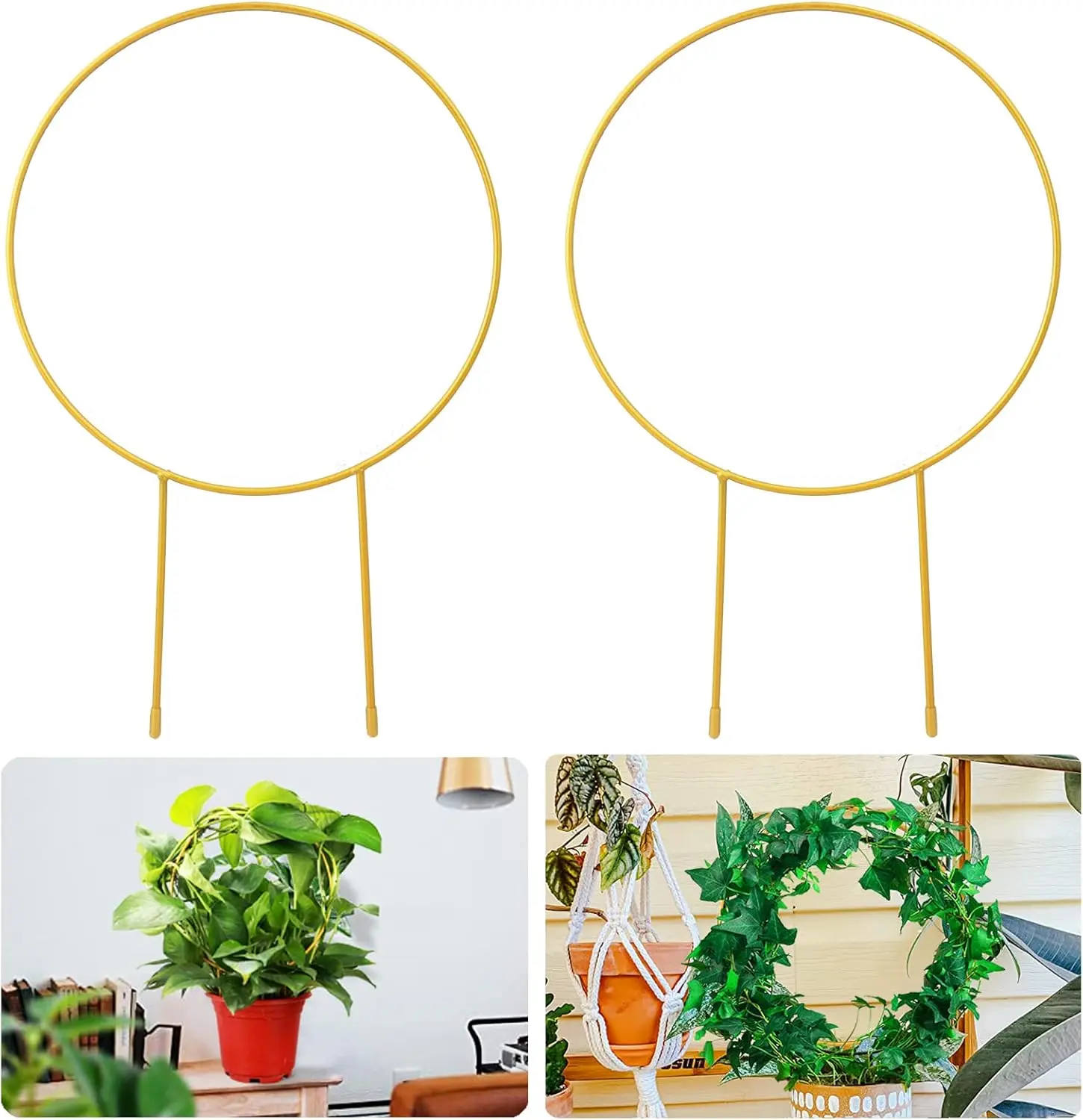 2 Pack Circle Trellis for Climbing  Indoor, 15"  Small  Support Stakes, Flower Houseplant Hoya Support for Potted  & Garden Stem Vines
