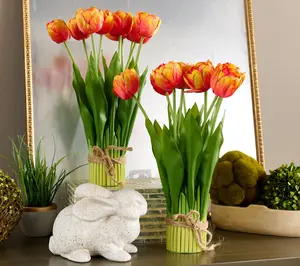 Set of 2 14.5" Parrot Tulip Bundles