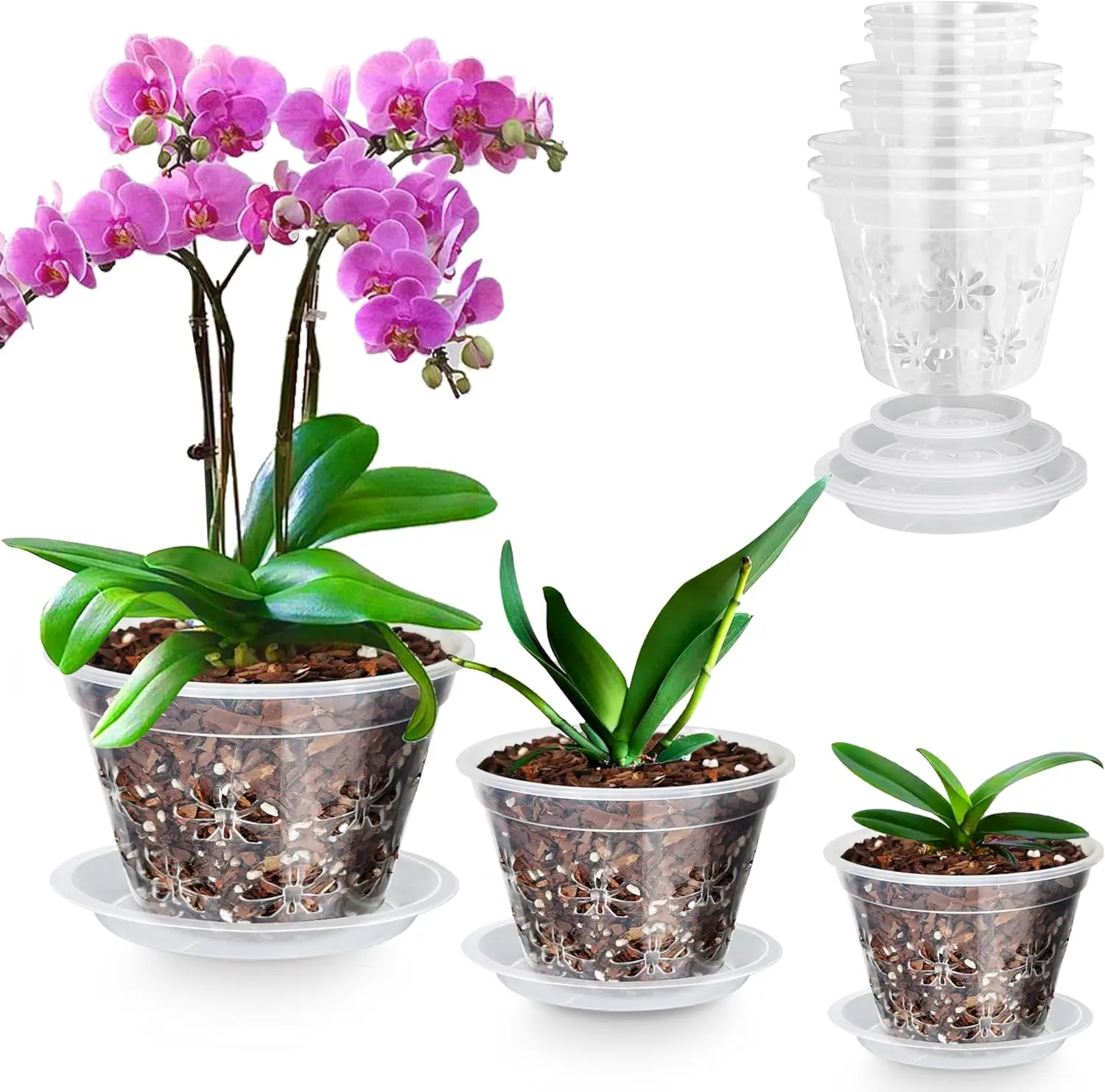 Orchid Pot 9 Pack | 3 of Each 4,5,6Inch,Orchid Pots with Holes & Saucers -  Clear Plastic Pot for Repotting, Breathable Ventilation Planters for  Phalaenopsis, Dendrobium & Oncidium Orchids - TikTok Shop