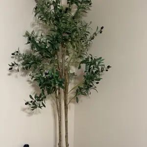 review image 8
