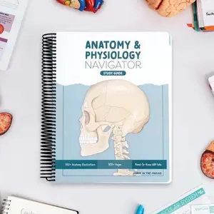 Anatomy & Physiology Study Guide – Complete Nursing Resource with 100+ Illustrations & 300+ Pages of A&P Essentials