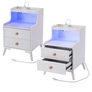 Set of 2 LED Nightstands with Charging Station Modern Bedside Table Nightstand with 2 Drawers & USB Ports