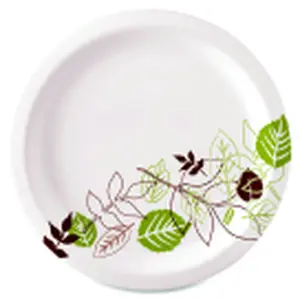 Dixie Foods Heavyweight Pathway Design Soak Proof Paper Plate, White, Pack - 500