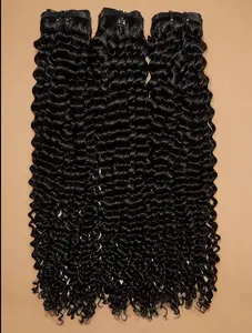 Kinky Curly Seamless Clip Ins