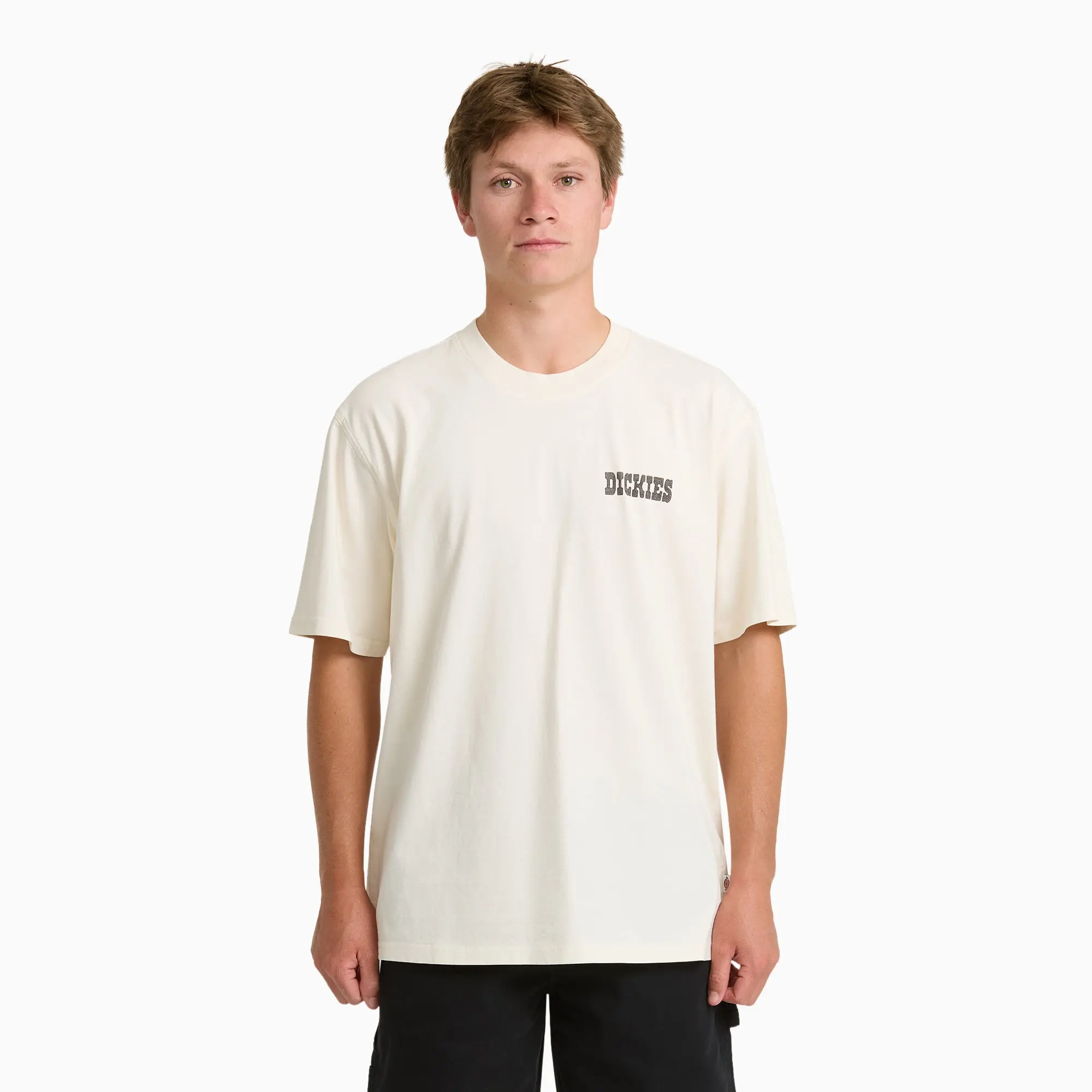 Dickies Buchtell Short Sleeve Graphic T-Shirt, 100% Cotton, Graphic Print, Workwear Everyday Layering Style