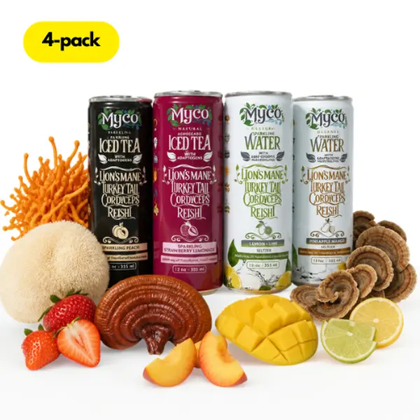 MycoBev Functional Mushroom Nootropic Drinks 4-pack - 2,000mg Activated Bio-Blend with Reishi, Lion's Mane, Turkey Tail & Cordyceps