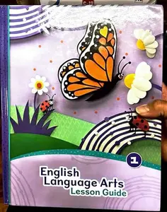 USED-English Language Arts Lesson Guide 1 by Amy Losi (Tankobon Hardcover)