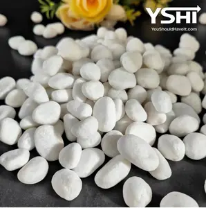 Grade A White Polished River Pebbles 0.40 cu. ft. 3 in. to 5 in. 30 lbs