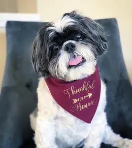 Thankful for my Human Dog Bandana, Thanksgiving Bandana, Dog Bandana, Cat Bandana, Match your Dog or Cat, Slip on