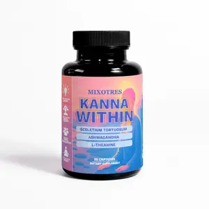 Kanna Within Daily Advanced Formula – 60mg Kanna Extract, 150mg L-Theanine, 200mg Ashwagandha | 30 Capsules Supplement, Edible