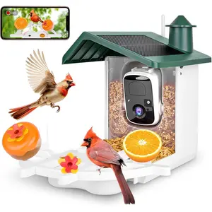 Bird Feeder with Camera for Outside, 2K Ai Camera Feeder  Outdoor, Bird House with Solar  Video Live Auto Capture, Watching Gifts for Birds Lovers