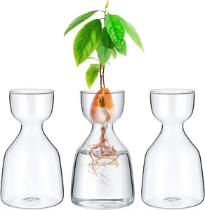 3 Pcs Acorn Vases Glass Avocado Vase Avocado Glass Vase for Growing, Hydroponics Terrariums Pot Deco Indoor Bulb Vasees Propagation Vases for Home Table Desk Indoor Decor Gardening Lover Gifts
