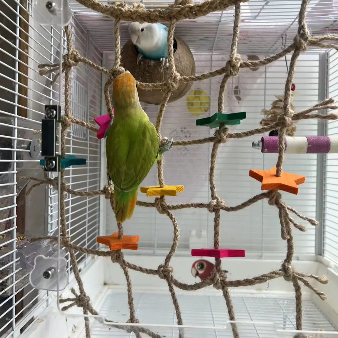 1 PC Bird climbing net, Bird perches for cage, durable hemp rope parrot climbing net with colorful five pointed stars and parrot chewing toys, parrot hanging amusement area, suitable for squirrels and honey glider cage accessories