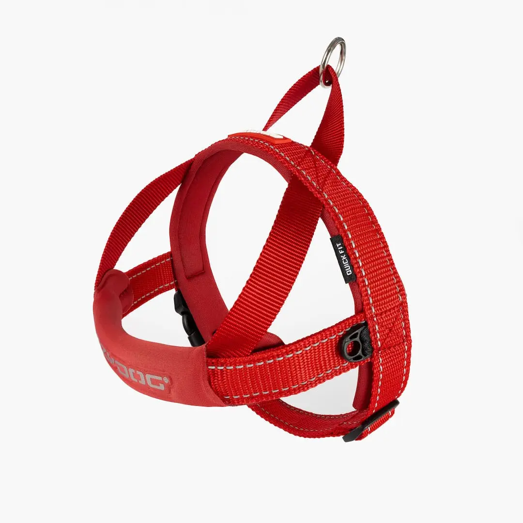 Quick Fit  Dog Harness, Basic Halter Dog Harness, Pet Supply for Canine Walking & Secure Leash Attachment