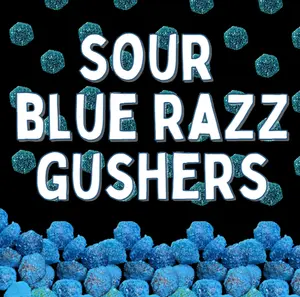 Kimdysweets Blue Raspberry Gushers - Sour Coated Fruit Snack, 7 oz, 3 Months Shelf Life, Fruity Candy Snack, Made in the USA - Bonbon, Tangy, Candies