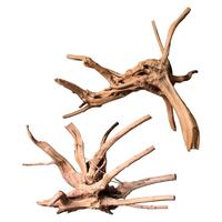 Spiderwood (11-14 inch pack of 2)