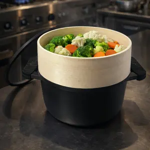 Dream Home Collection 2.6QT Die-Cast Aluminum Non-Stick Casserole Pot with Spruce Steamer Insert & Tempered Glass Lid