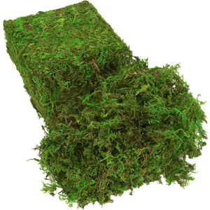 Fake Moss for Plants Indoor, 16OZ Green Moss for Crafts, Artificial Moss for Faux Plant Fairy Garden Table Centerpieces Wedding Decor,1LBS Fresh Green Craft Moss