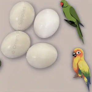 CONURES FAKE EGGS Solid Plastic FOR INDIAN RINGNECK, Dummy DOVE STOP LAYING Ct 4