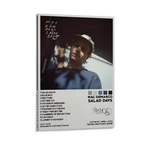 MAC DEMARCO Mac Demarco Salad Day Album Cover Limited Edition Posters Room Aesthetic Music Posters