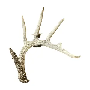 Shed Antler Anchor Single - Original (Left Antler)