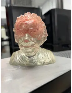 Albert Einstein Head