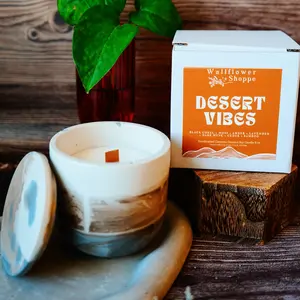 Desert Vibes Concrete Candle