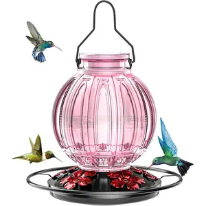 Glass Hummingbird Feeder – 26oz Leakproof with Perch & 5 Ports, Pink