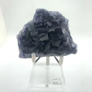 Natural Black Rose Fluorite Specimens - High Quality
