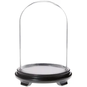 Plymor 8" x 12" Glass Display Dome Cloche