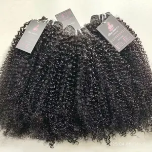 BrisRawHairCo Raw Kinky Burmese Curly Bundles 100% Human Hair