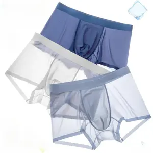 3-pack seamless boxed shorts underwear, transparent underwear, ultra-thin breathable men's underwear, Father's Day