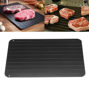 Fast Defrosting Tray Defrost Beef Meat Frozen Food