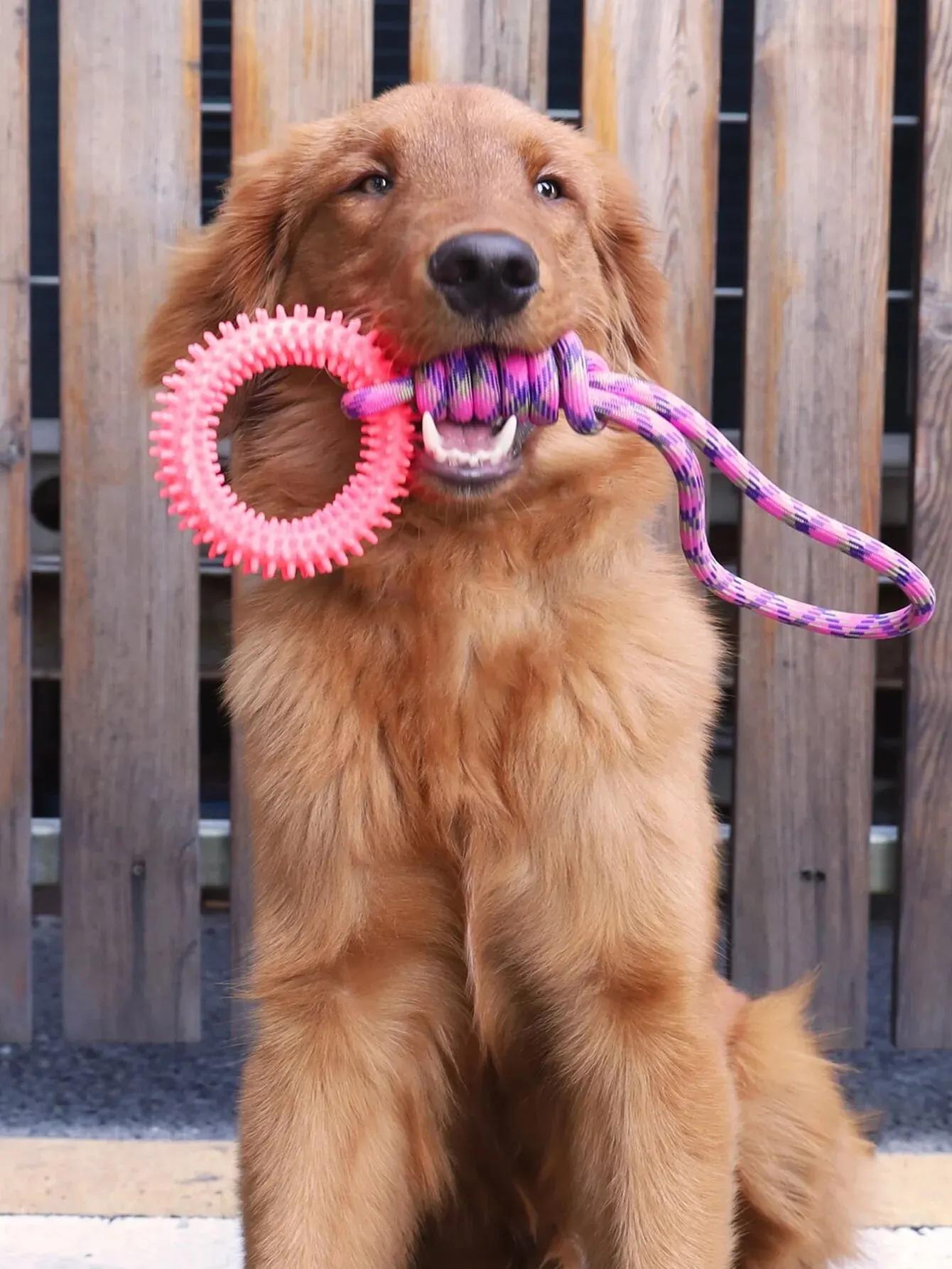 Dog Toys Chew Resistant Nylon Rope Toys Pet Colorful Woven Knot Rubber Toys Dog Self Fun Outdoor Swimming Toys Pet Supplies