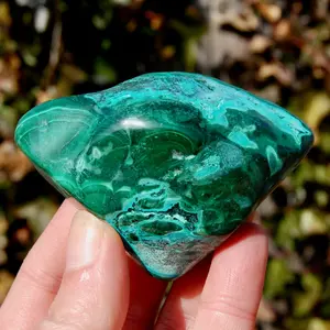 3in 208g Large Malachite Chrysocolla Crystal Free Form Palm Stone, Congo mca3