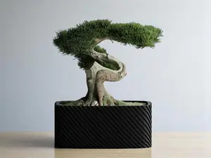 Modern Ribbed Rectangle Planter – Bonsai-Inspired Flower Pot for Indoor Plants, Succulents, Herbs & Small Trees, Decorative Boho Pot with Slanted Ridge Design (Black)