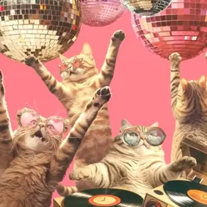 background preload poster image 