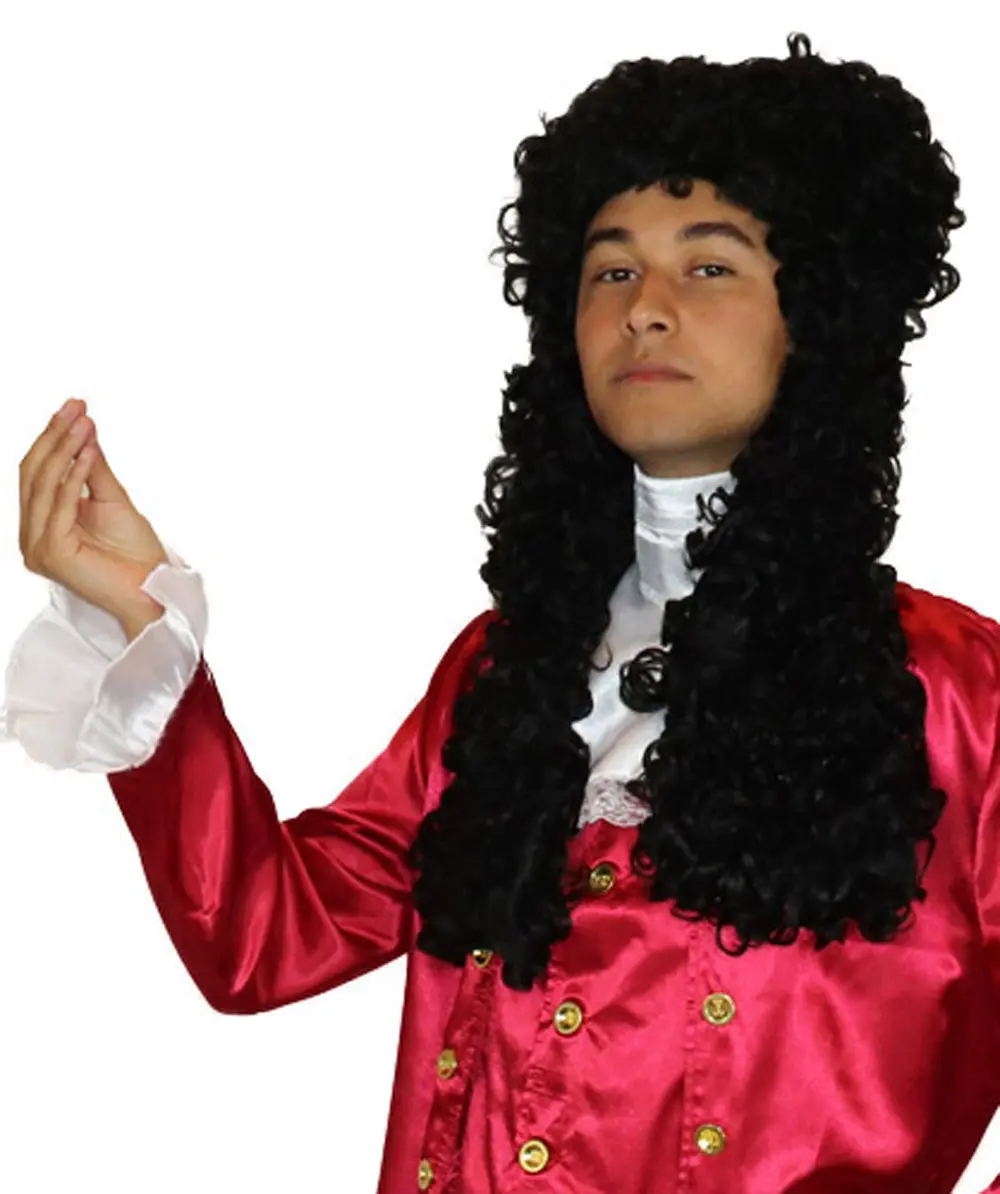 Men's 18th Century Nobleman Wig , Black Judge Style for Historical Characters, Flame-retardant Synthetic Fiber