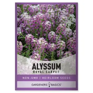 Royal Carpet Dwarf Sweet Alyssum Seeds