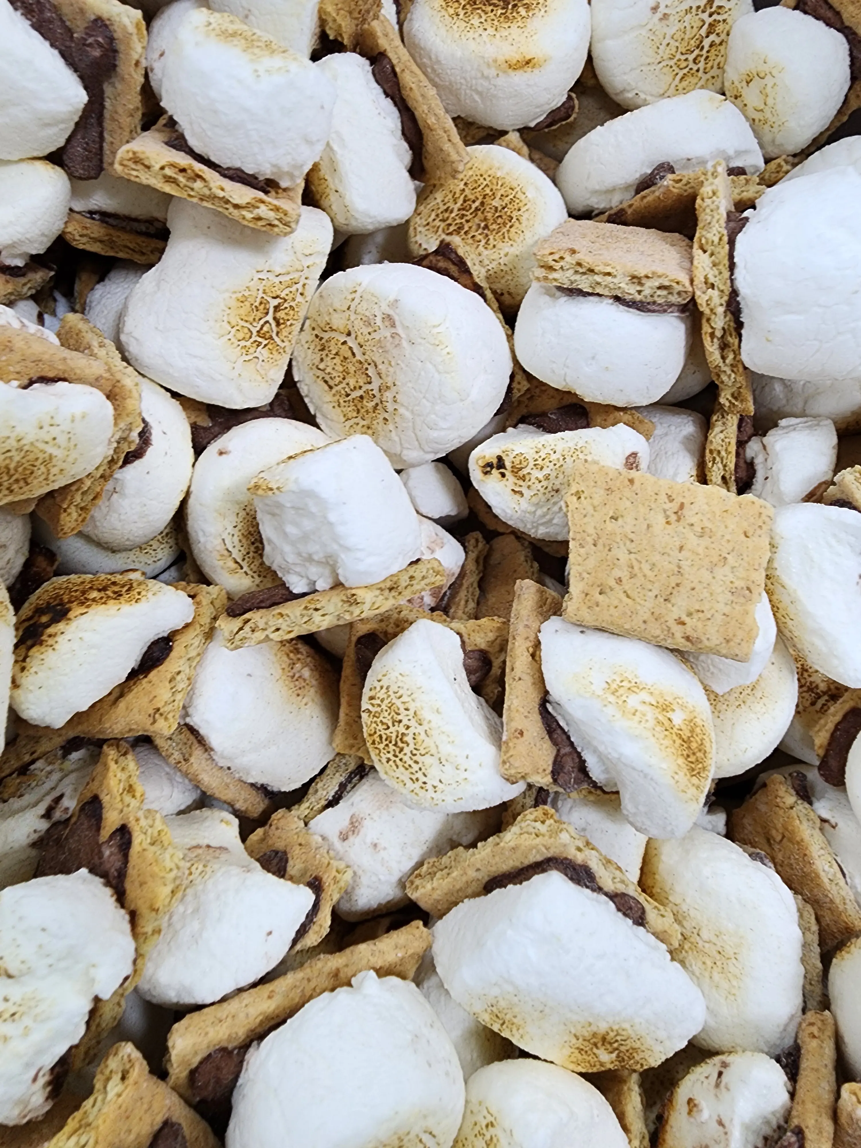 Freeze Dried S'mores Freeze Dried S'mores