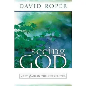 USED-Seeing God: Meet God in the Unexpected by Roper, David (Paperback)