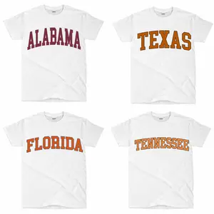 Vintage Varsity College T-Shirt, Retro Campus Graphic Tee, College Tee, Streetwear Outfit, WHITE T-shirt, Y2K Streetwear Outfit, S-5XL Size