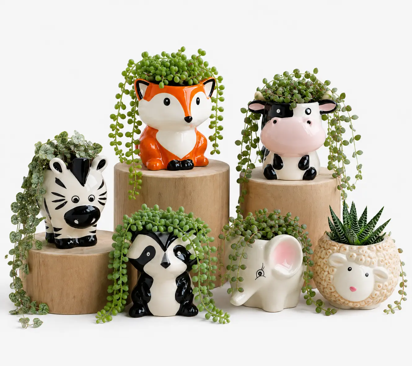 6-Piece Ceramic Animal Planter Set – Cute 3" Succulent Pots with Fox, Cow, Elephant, Zebra, Raccoon & Sheep – Adorable Indoor Plant Pots