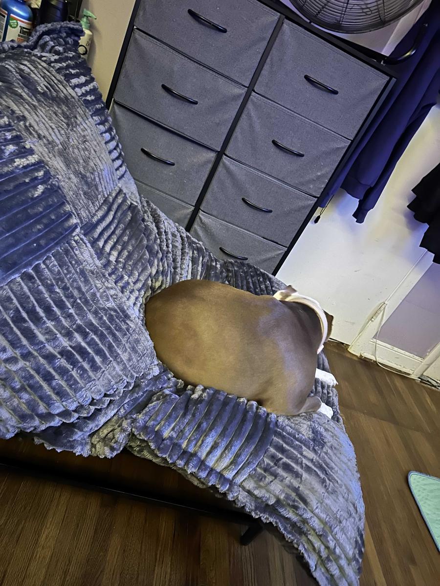 Item: Grey, With Base