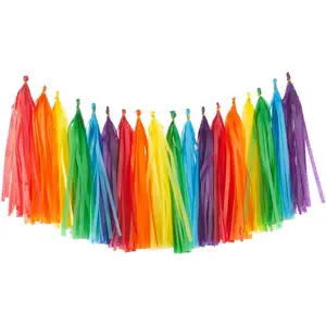 Rainbow Tissue Paper Tassels Colorful Party Tassel Garland Banner Decorations, DIY Kits,Pack of 30